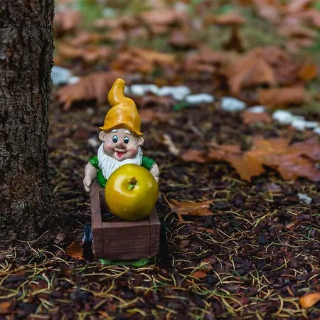 ゲストハウス Montebelo ヴェリコ・タルノヴォ